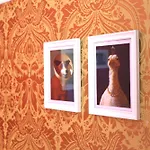 אכסניה Rivoli Cinema *